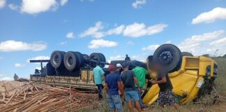 Motorista morre após caminhão capotar na BR 235