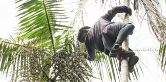 Governo investe R$ 132 milhões em regularização fundiária na Amazônia