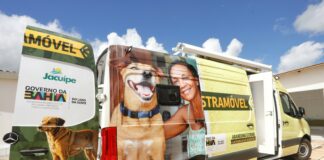 Castramóvel estará atuando no município de Pintadas durante três dias