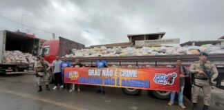 Cultura do Grau: evento em Castro Alves arrecada toneladas de comida para doação