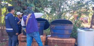 Chikungunya: ministro classifica como crítica situação em Dourados