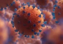 Covid-19: nova variante detectada em 23 países possui maior escape imunológico