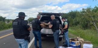 Polícia apreende 7,5 kg de cocaína durante ação integrada na BA-052