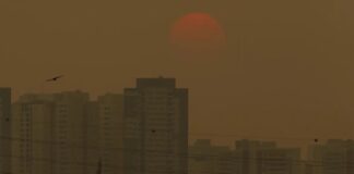 Sensor do ar de baixo custo será lançado no Acampamento Terra Livre