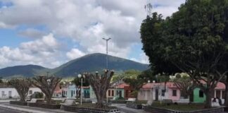 Serra Preta: Corte de árvores irrita população e apreciadores