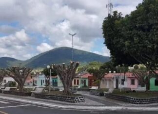 Serra Preta: Corte de árvores irrita população e apreciadores