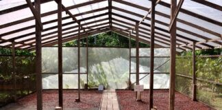 Edital seleciona projetos de inovação no Amazonas, Pará e Rondônia