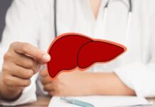 Cinco alimentos que ajudam a proteger o fígado e evitar doenças