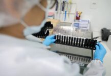 Malária: Anvisa autoriza teste em humanos de vacina 100% brasileira